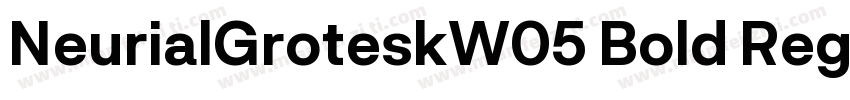 NeurialGroteskW05 Bold Regular字体转换